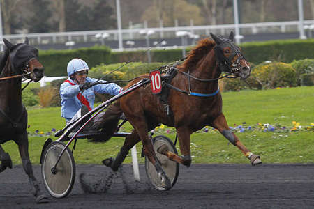 Actualités Hippiques